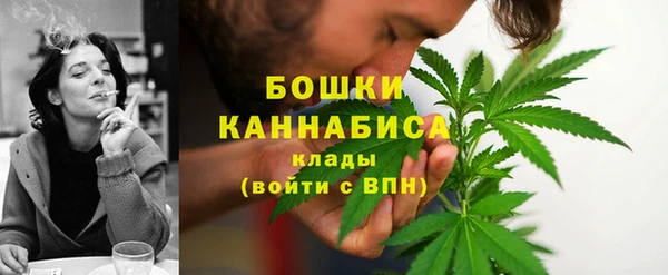 PSILOCYBIN Новодвинск