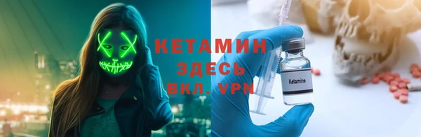 твердый Новозыбков