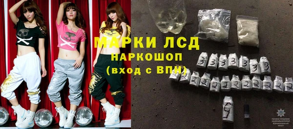 гашик Нея
