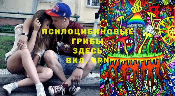 хмурый Нефтекумск