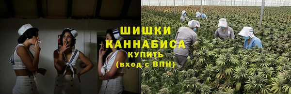 хмурый Нефтекумск