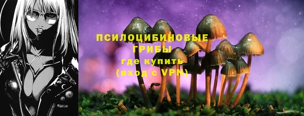 гашик Нея