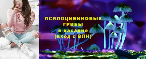 амф Надым