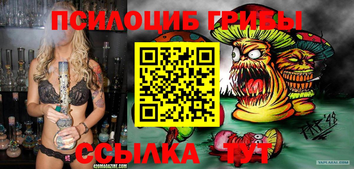 Галлюциногенные грибы Psilocybine cubensis Зеленокумск