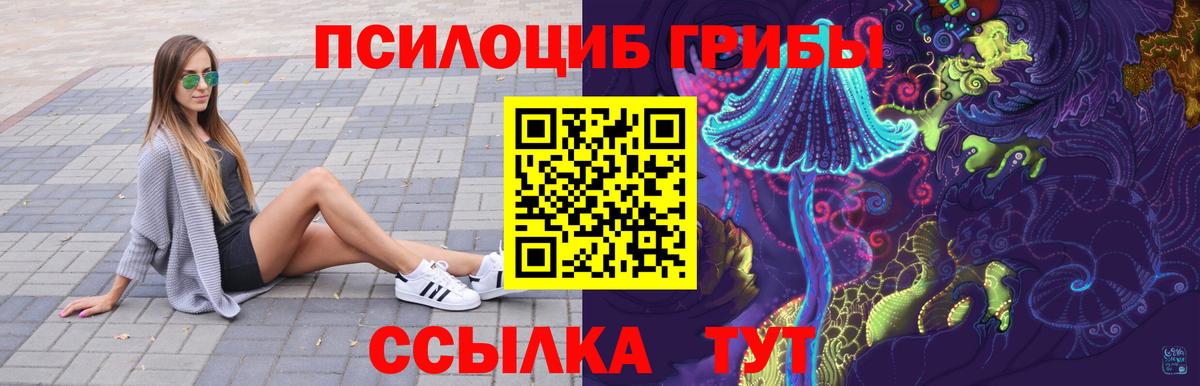 Зеленокумск  Псилоцибиновые грибы мицелий  Вход с VPN  Галлюциногенные грибы прущие грибы 