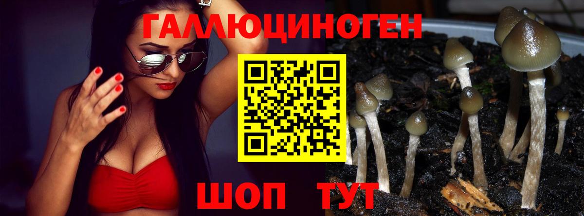 Галлюциногенные грибы Magic Shrooms  Зеленокумск 