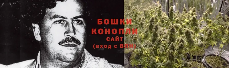 Канабис Ganja  Зеленокумск 